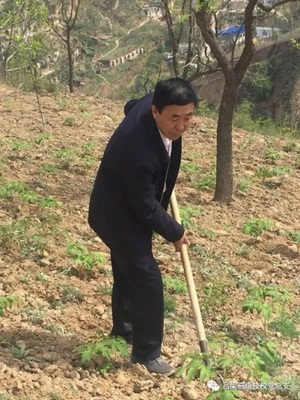 https://mmbiz.qpic.cn/mmbiz_jpg/cw5EC7DvANjrt1bVcv0FCjaaOJXBpaGyEsU90m2pdHVTxUWeYPDgVNrSr9VKxl5iaCLfNuShCrHmvxnjPIDDWrw/640?wx_fmt=jpeg
